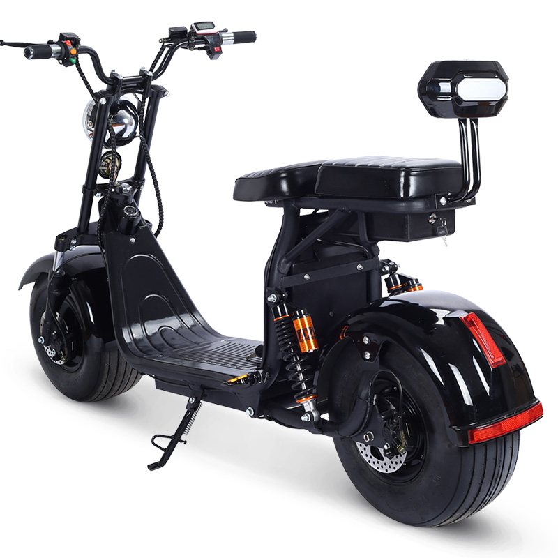 WKC3-3 Customized Design Two Batteries Electric Scooter 1500w Fat Tire Electric Scooter 3 wheels 