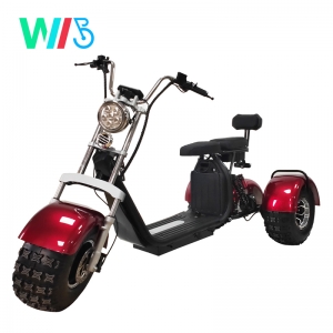 WKC5-3 China Wholesale High Quality Electric Scooter Citycoco 3 Wheel Electric Bike/Scooter/Motorcycle Citycoco