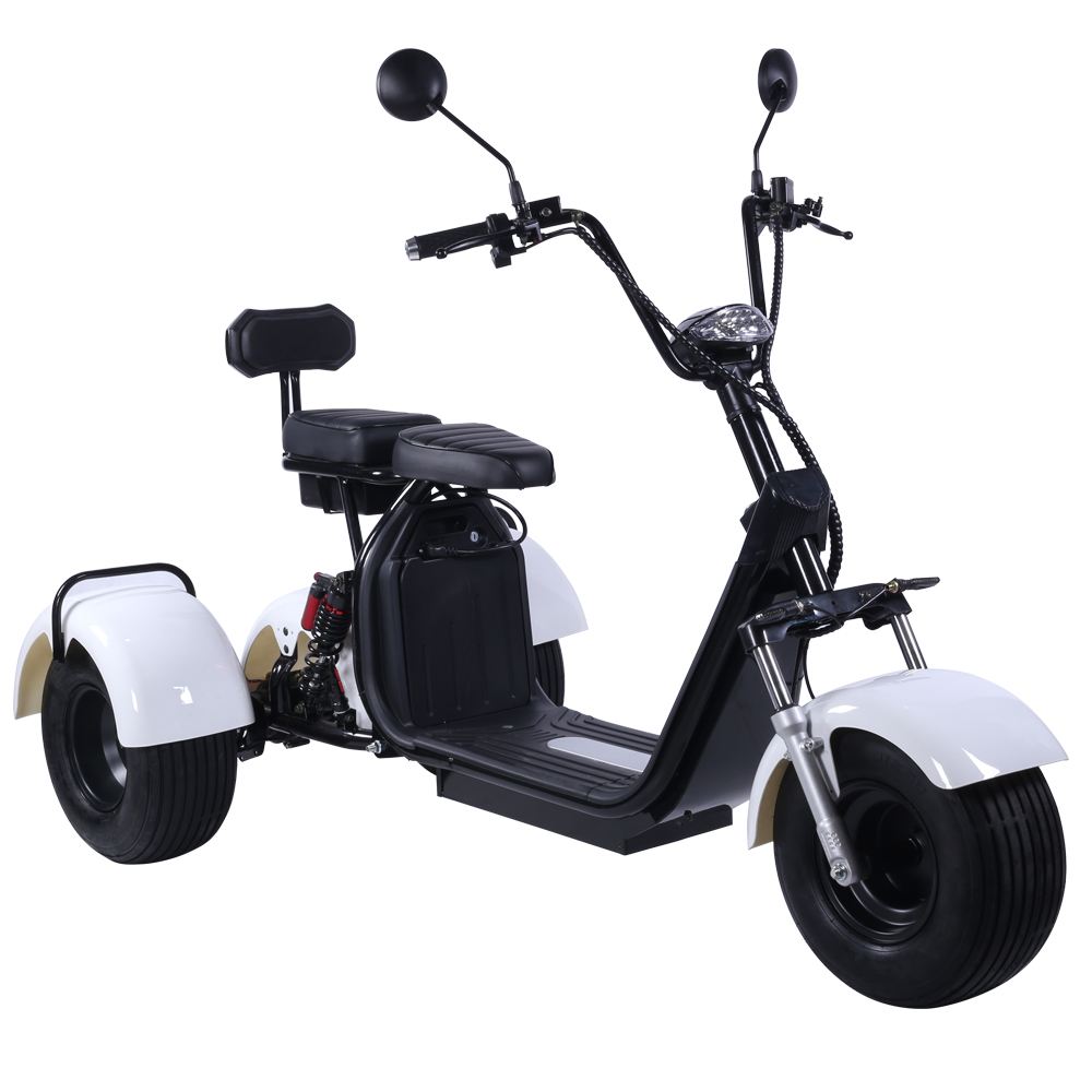 WKC3-3 Customized Design Two Batteries Electric Scooter 1500w Fat Tire Electric Scooter 3 wheels 