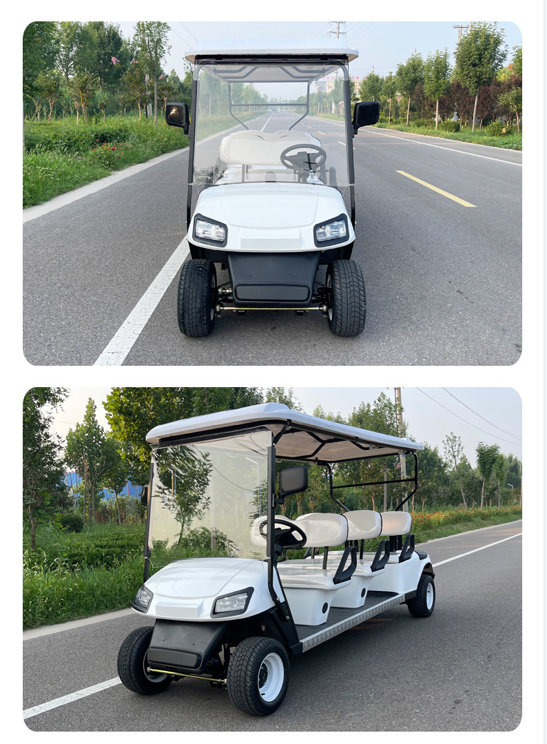 Cheap Custom Modern Manual Transmission 1/4/6/8/10 Person Small Marshell Remote Control Ice Cream Lithium Golf Cart