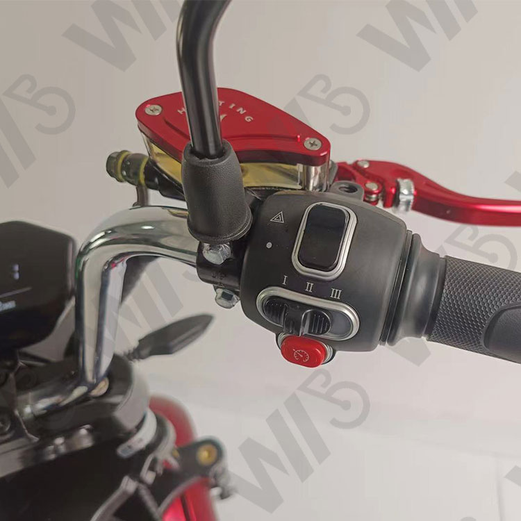 New Hot Selling Electric Harley Electric Vehicle