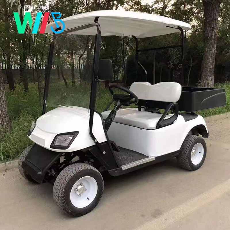 Fancy Lithium Battery Body Kit Tow Bars Electric Dc Brushless Electric Buggy Wheel Motor for Electric Scooters Golf Cart