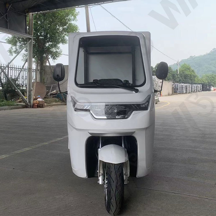 EEC Electric Car Approval Tuk Tuk Electric Cargo Car 38km/H 1seater Express Delivery Mail Truck/Mail Car/Electric Van