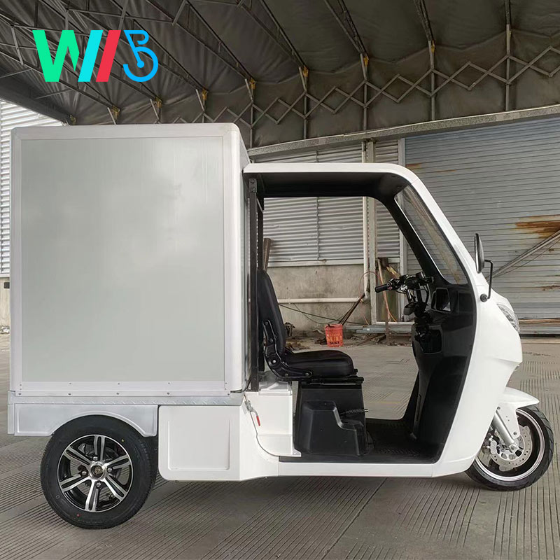 EEC Electric Car Approval Tuk Tuk Electric Cargo Car 38km/H 1seater Express Delivery Mail Truck/Mail Car/Electric Van