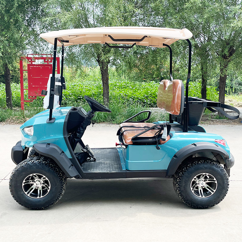 Fancy Lithium Battery Body Kit Tow Bars Electric Dc Brushless Electric Buggy Wheel Motor for Electric Scooters Golf Cart