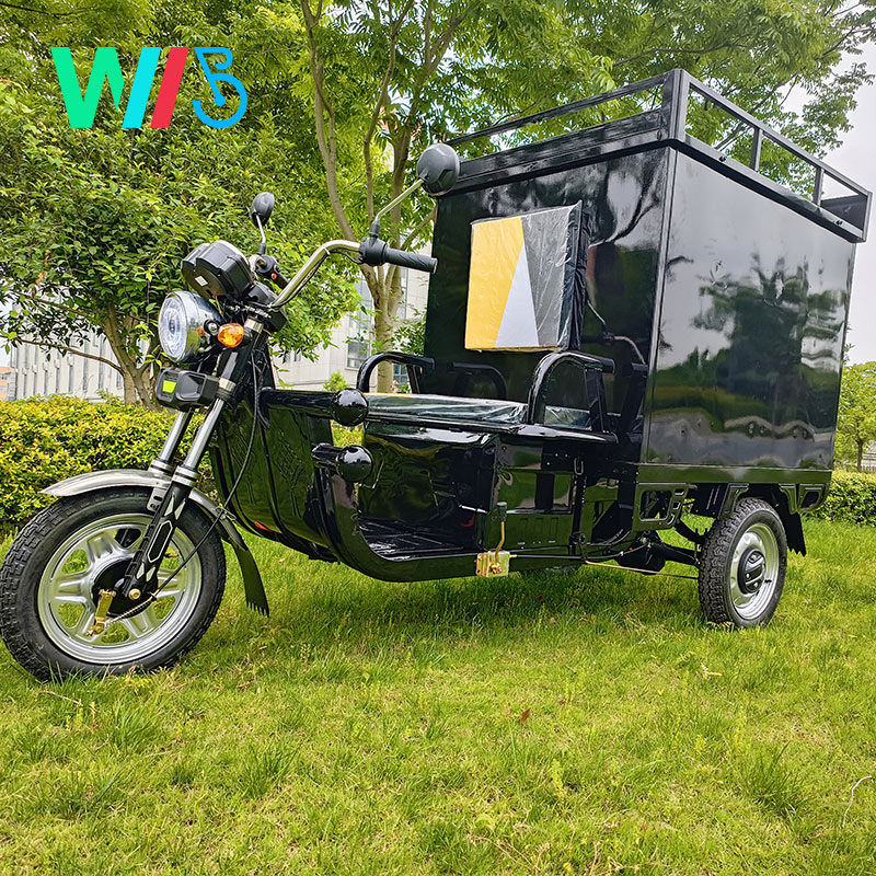 Wholesale Factory Direct EEC Three wheel electric courier truck with cargo shelf Cargo Tricycle