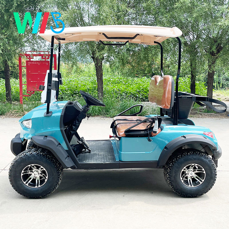 Fancy Lithium Battery Body Kit Tow Bars Electric Dc Brushless Electric Buggy Wheel Motor for Electric Scooters Golf Cart