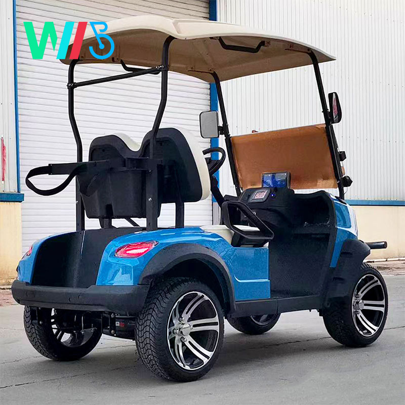 Fancy Lithium Battery Body Kit Tow Bars Electric Dc Brushless Electric Buggy Wheel Motor for Electric Scooters Golf Cart