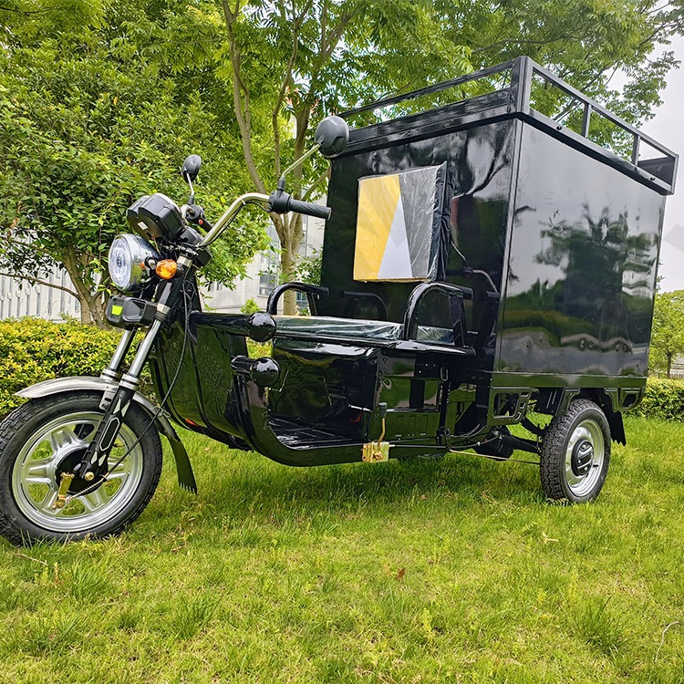 Wholesale Factory Direct Eec Three Wheel Electric Courier Truck with Cargo Shelf Cargo Tricycle