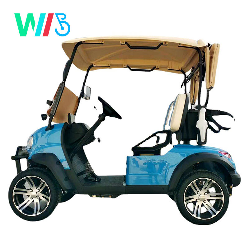 Fancy Lithium Battery Body Kit Tow Bars Electric Dc Brushless Electric Buggy Wheel Motor for Electric Scooters Golf Cart