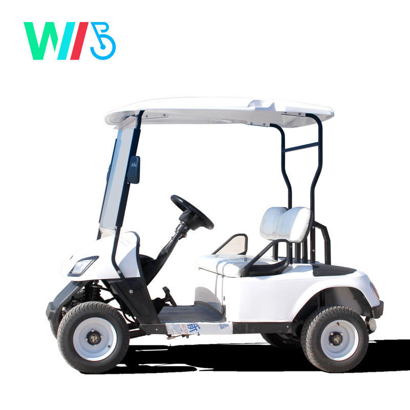 Fancy Lithium Battery Body Kit Tow Bars Electric Dc Brushless Electric Buggy Wheel Motor for Electric Scooters Golf Cart