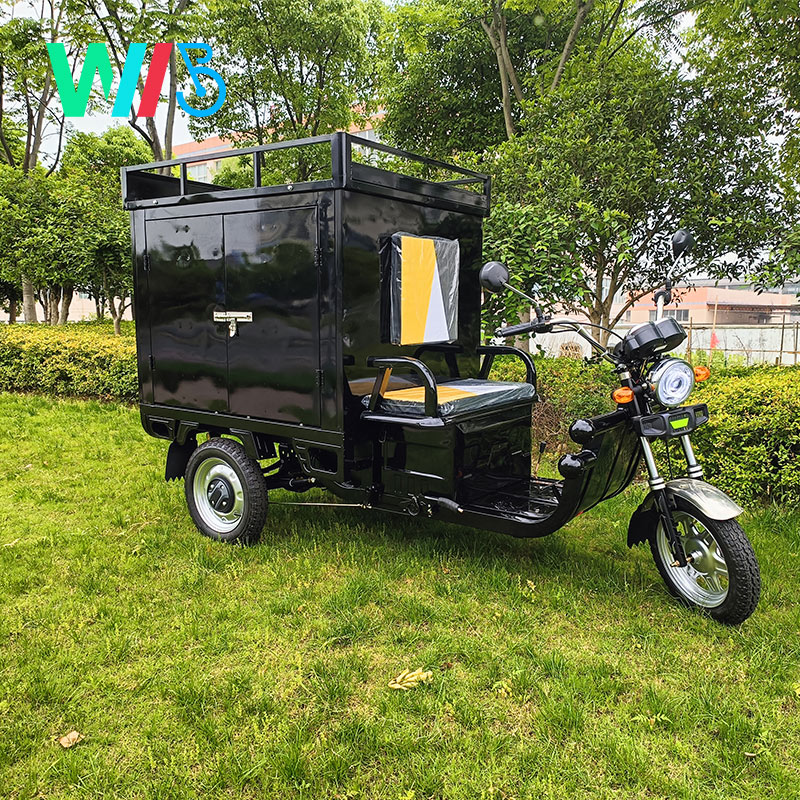 Wholesale Factory Direct EEC Three wheel electric courier truck with cargo shelf Cargo Tricycle