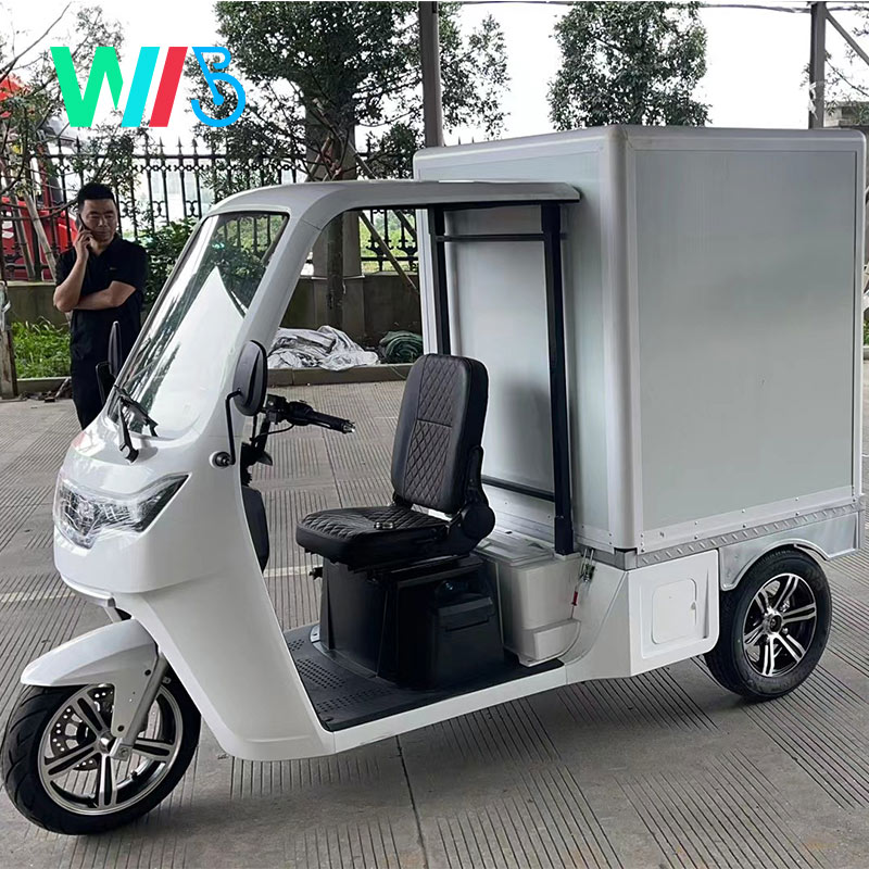 EEC Electric Car Approval Tuk Tuk Electric Cargo Car 38km/H 1seater Express Delivery Mail Truck/Mail Car/Electric Van
