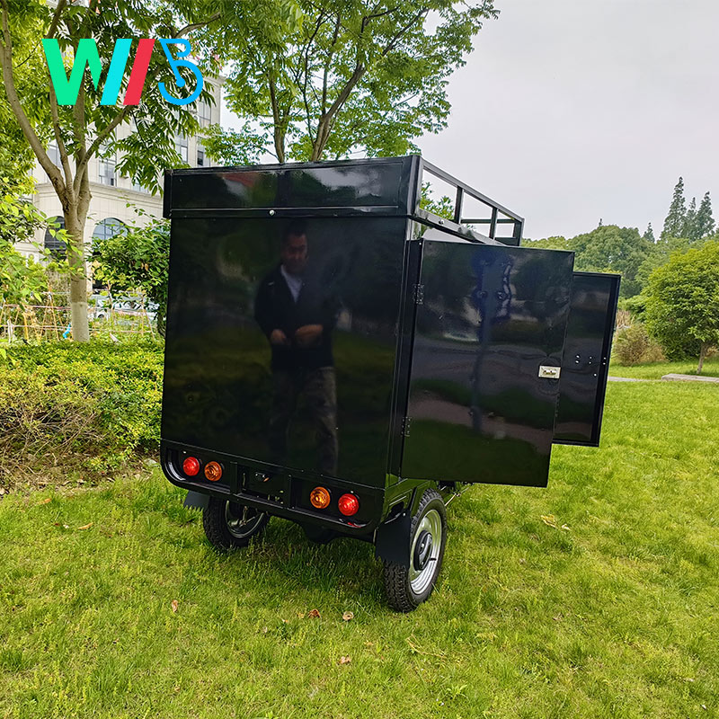 Wholesale Factory Direct EEC Three wheel electric courier truck with cargo shelf Cargo Tricycle