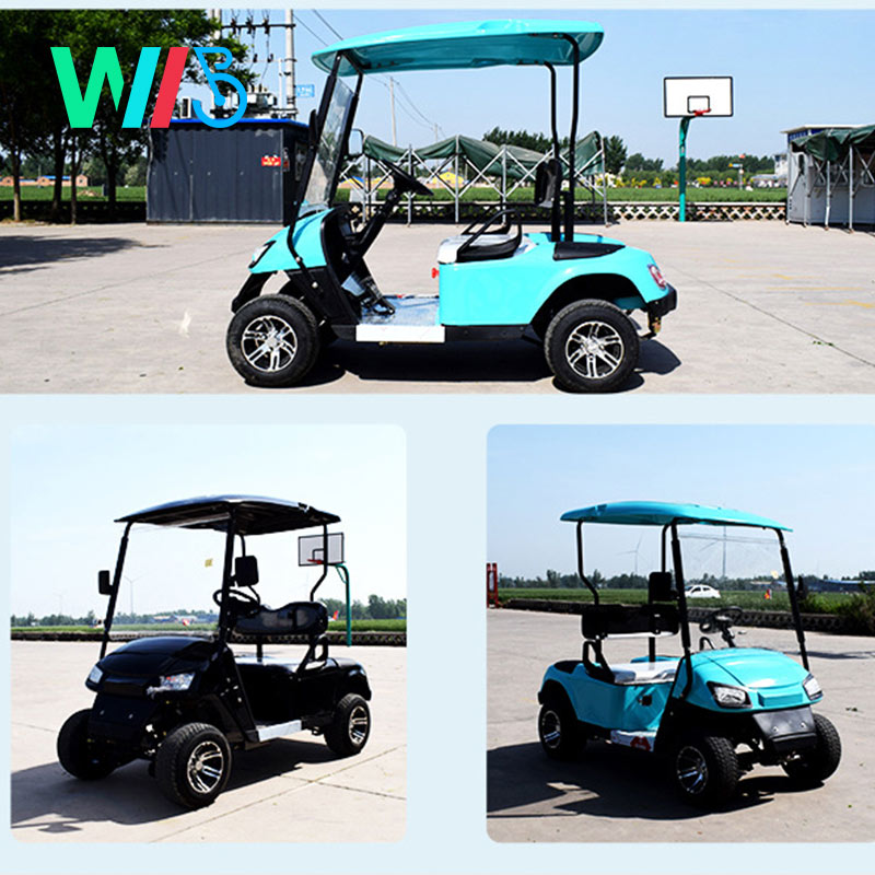 Fancy Lithium Battery Body Kit Tow Bars Electric Dc Brushless Electric Buggy Wheel Motor for Electric Scooters Golf Cart