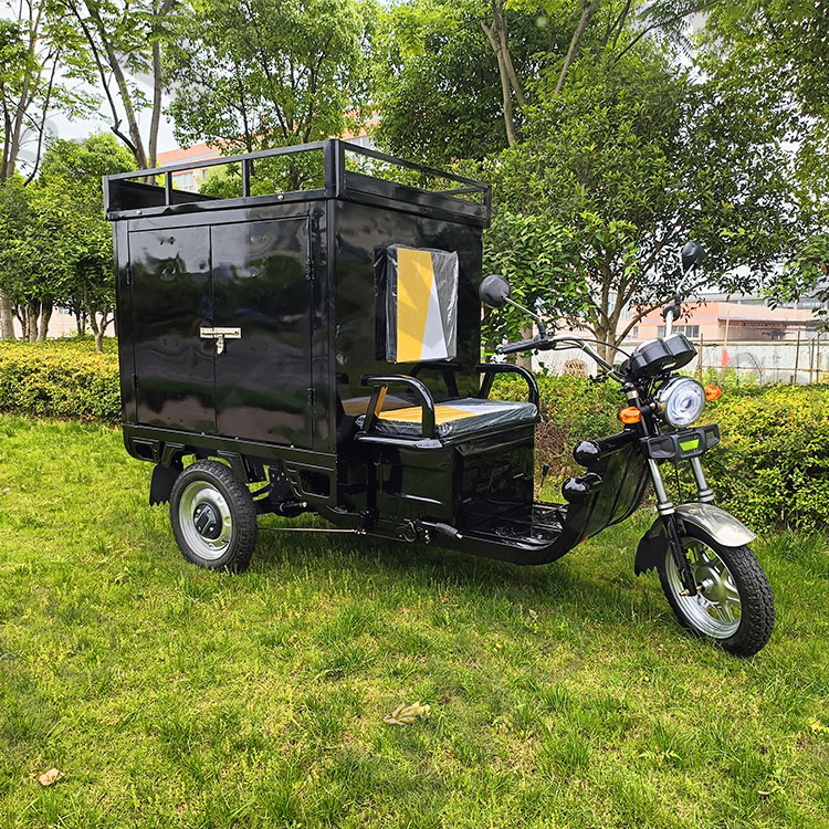 Wholesale Factory Direct Eec Three Wheel Electric Courier Truck with Cargo Shelf Cargo Tricycle