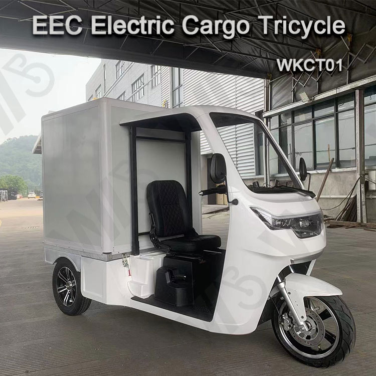 EEC Electric Car Approval Tuk Tuk Electric Cargo Car 38km/H 1seater Express Delivery Mail Truck/Mail Car/Electric Van