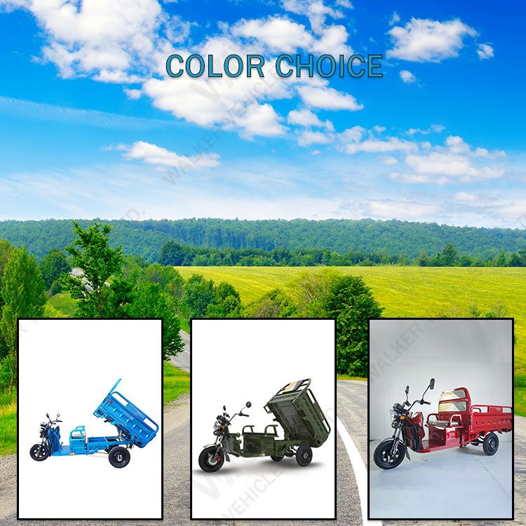 Delivery Cargo Express Country Farm Freight Village Traffic Tool Shipment Transport Three Wheels Electric Pickup Truck Tricycles