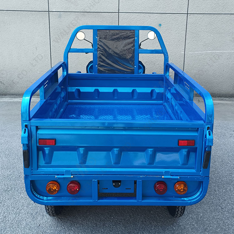 China Supply EEC COC 45km/h Much Safety and Popular 60V 1000W 3 Gear Speed Electric Tricycle for Cargo