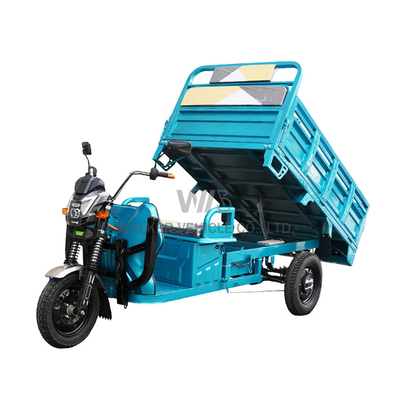 Chinese Electric Tricycle EEC 1500w Truck Cargo 3 Wheel Tricycle For Adult Big Wheel Trike