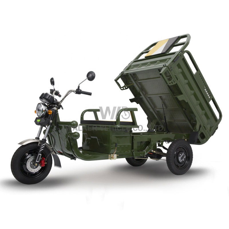 Delivery Cargo Express Country Farm Freight Village Traffic Tool Shipment Transport Three Wheels Electric Pickup Truck Tricycles