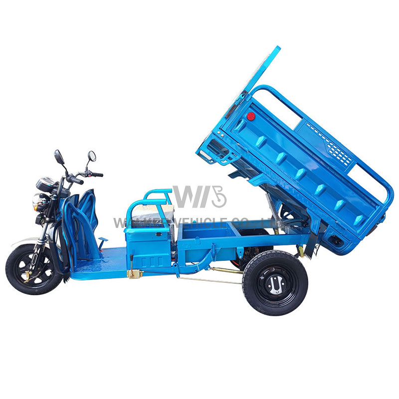 Delivery Cargo Express Country Farm Freight Village Traffic Tool Shipment Transport Three Wheels Electric Pickup Truck Tricycles