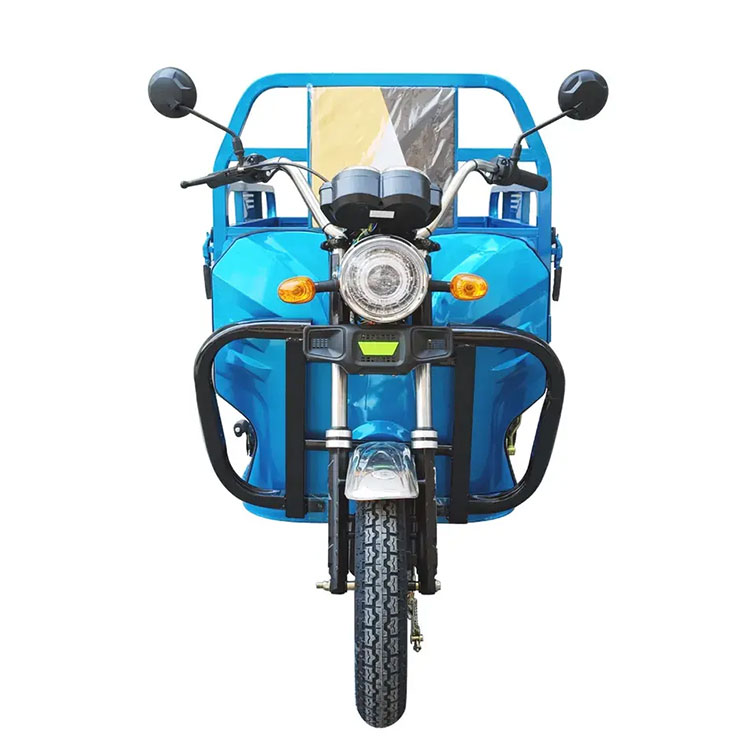 China Supply EEC COC 45km/h Much Safety and Popular 60V 1000W 3 Gear Speed Electric Tricycle for Cargo