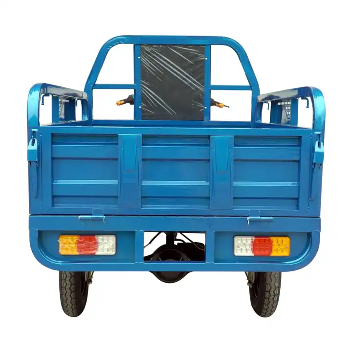 Heavy Carry Load 3 Wheels Electric Tricycle Cargo 1000W 60V 50km/h Cargo Motorcycle