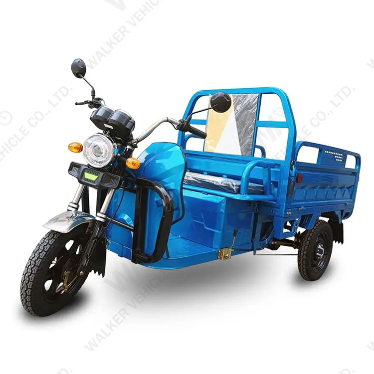 China Supply EEC COC 45km/h Much Safety and Popular 60V 1000W 3 Gear Speed Electric Tricycle for Cargo