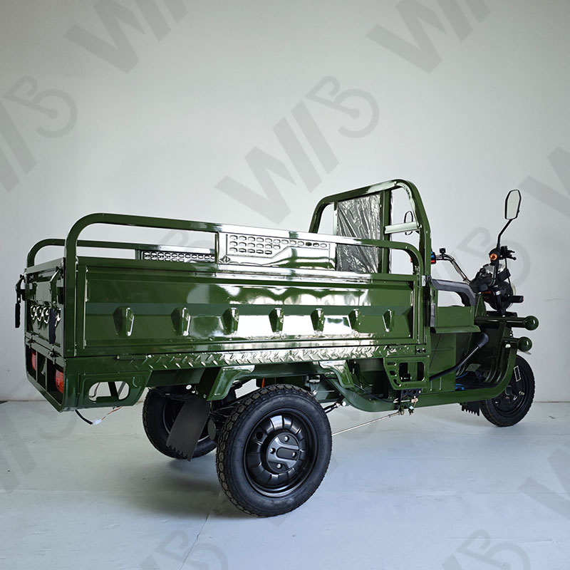 Heavy Carry Load 3 Wheels Electric Tricycle Cargo 1000W 60V 50km/h Cargo Motorcycle