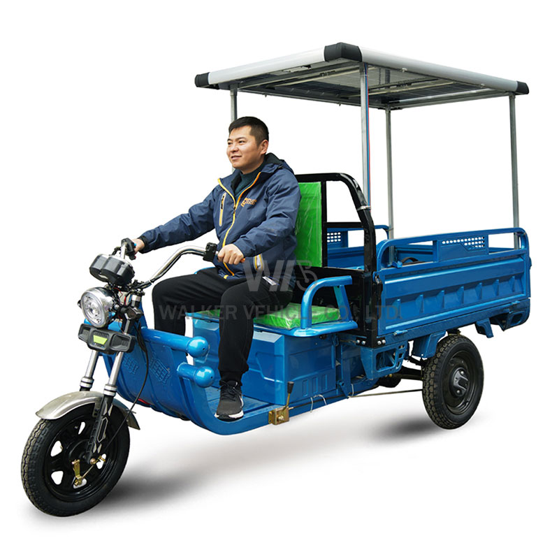 Delivery Cargo Express Country Farm Freight Village Traffic Tool Shipment Transport Three Wheels Electric Pickup Truck Tricycles