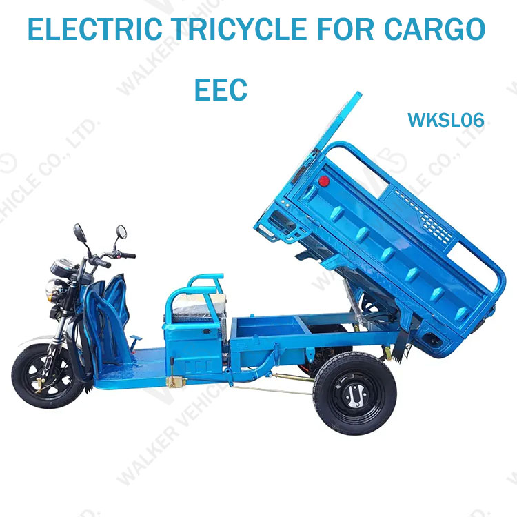 China Supply EEC COC 45km/h Much Safety and Popular 60V 1000W 3 Gear Speed Electric Tricycle for Cargo