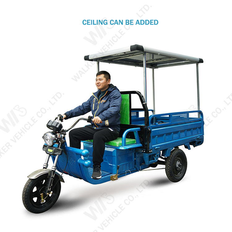 Delivery Cargo Express Country Farm Freight Village Traffic Tool Shipment Transport Three Wheels Electric Pickup Truck Tricycles