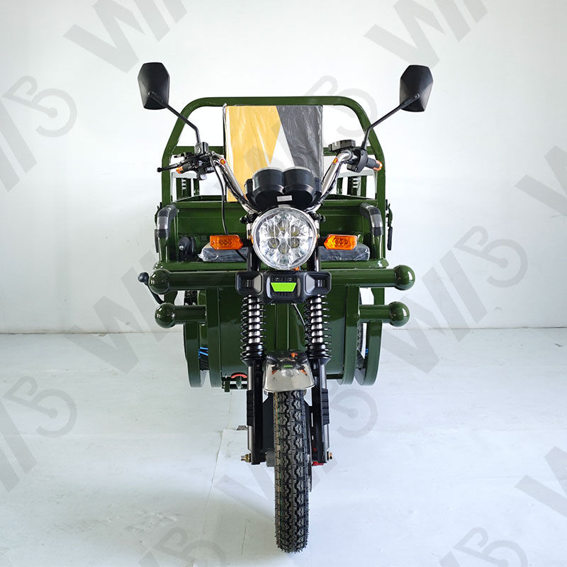 Heavy Carry Load 3 Wheels Electric Tricycle Cargo 1000W 60V 50km/h Cargo Motorcycle
