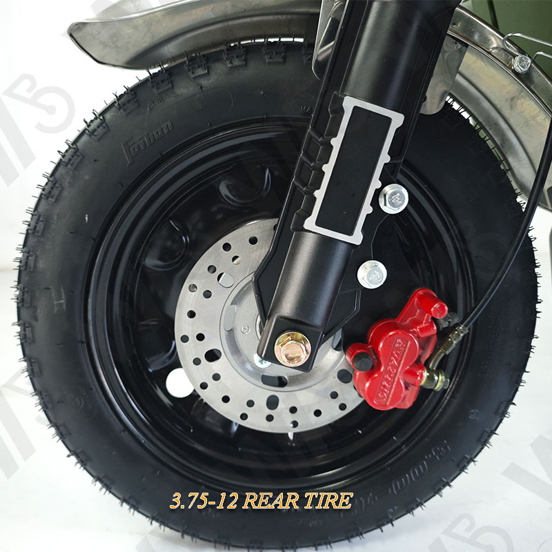 Heavy Carry Load 3 Wheels Electric Tricycle Cargo 1000W 60V 50km/h Cargo Motorcycle