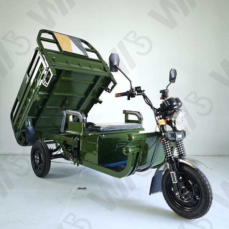 Heavy Carry Load 3 Wheels Electric Tricycle Cargo 1000W 60V 50km/h Cargo Motorcycle
