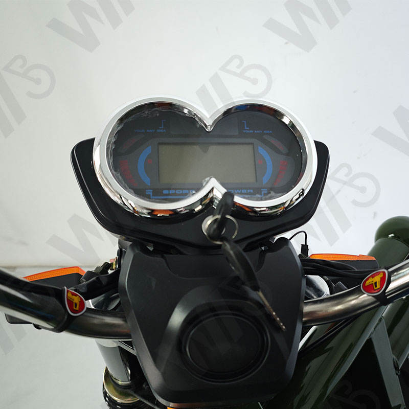 Heavy Carry Load 3 Wheels Electric Tricycle Cargo 1000W 60V 50km/h Cargo Motorcycle
