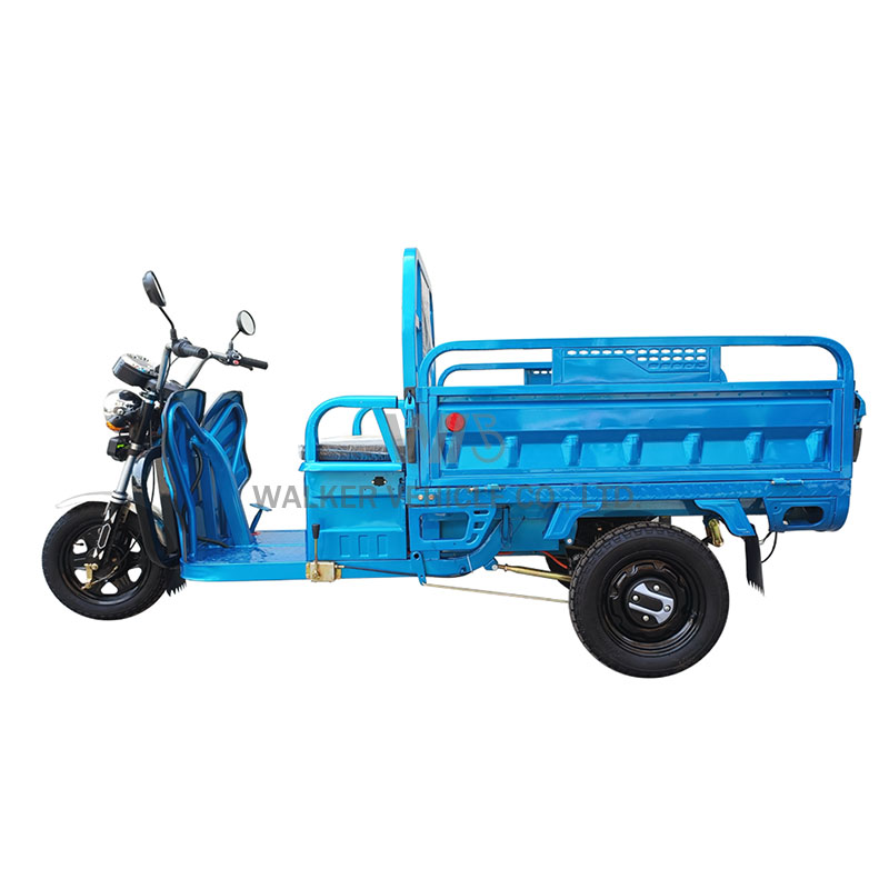 Delivery Cargo Express Country Farm Freight Village Traffic Tool Shipment Transport Three Wheels Electric Pickup Truck Tricycles