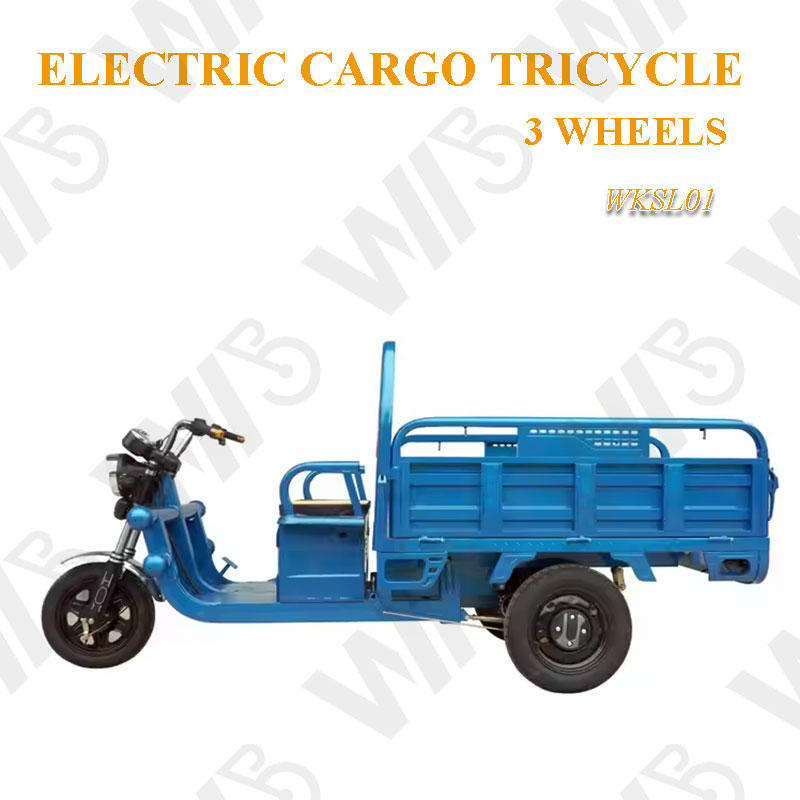 Heavy Carry Load 3 Wheels Electric Tricycle Cargo 1000W 60V 50km/h Cargo Motorcycle