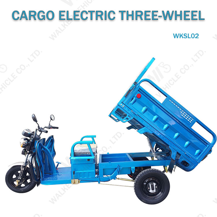 Delivery Cargo Express Country Farm Freight Village Traffic Tool Shipment Transport Three Wheels Electric Pickup Truck Tricycles