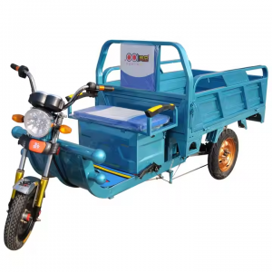 5 Heavy Carry Load 3 Wheels Electric Tricycle Cargo 1000W 60V 50km/h Cargo Motorcycle