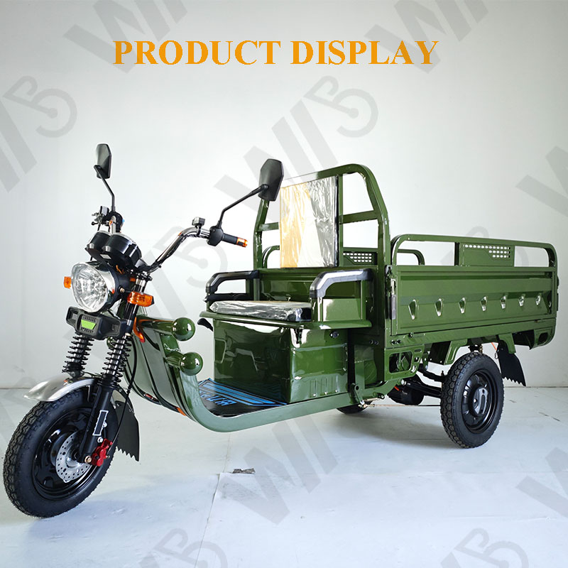 Heavy Carry Load 3 Wheels Electric Tricycle Cargo 1000W 60V 50km/h Cargo Motorcycle
