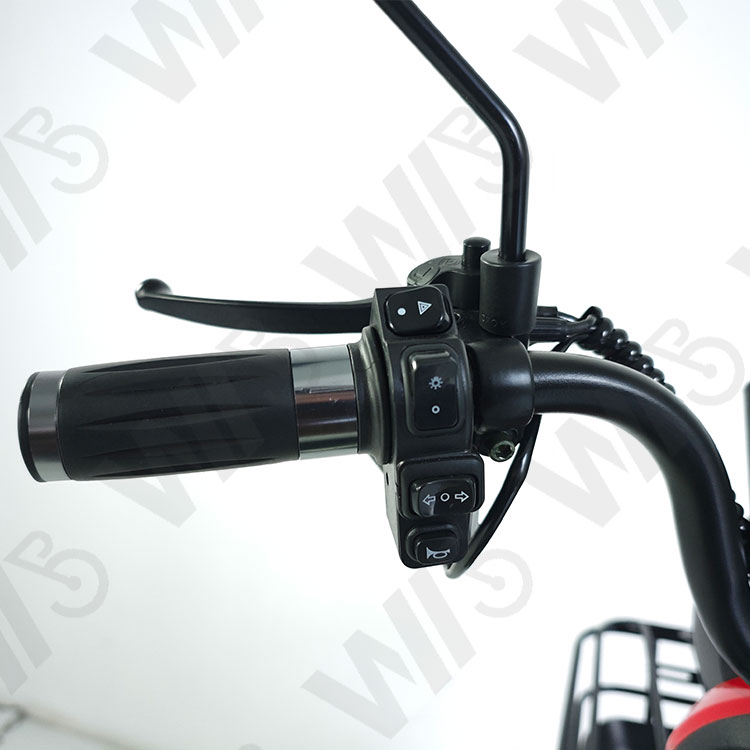 800w 1000w 48v 60v 20ah Electric Passager Tricycle Tourist Fashion Tricycle Scooter with Lead Acid Battery