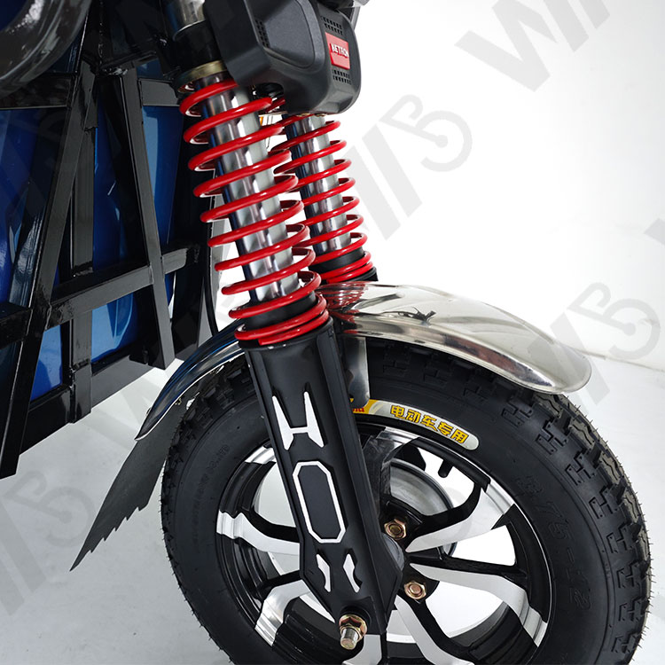 New Style Passenger Electric Tricycle For Adult Long Distance 100KM 800W Power Fat Tire Passenger Electric Tricycle Cargo