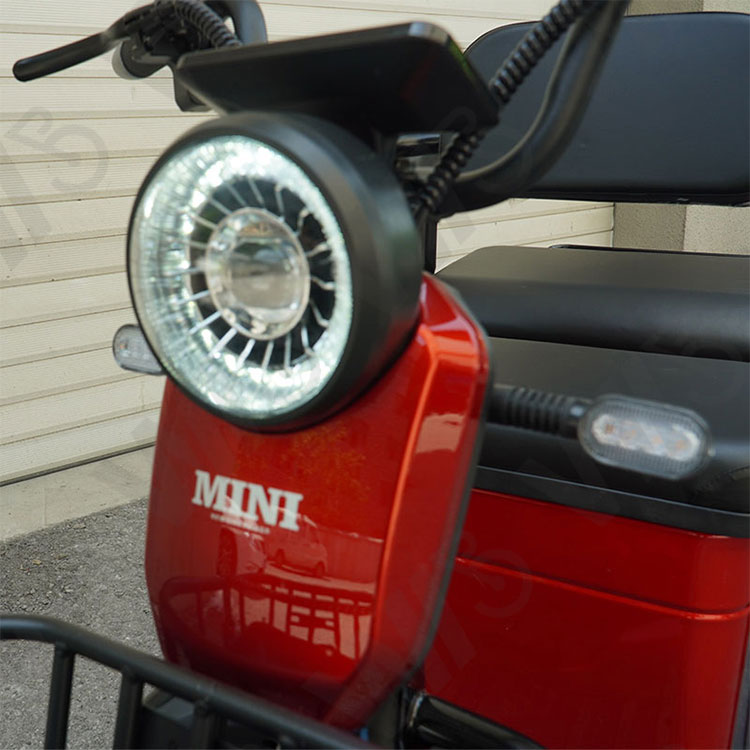 800w 1000w 48v 60v 20ah Electric Passager Tricycle Tourist Fashion Tricycle Scooter with Lead Acid Battery