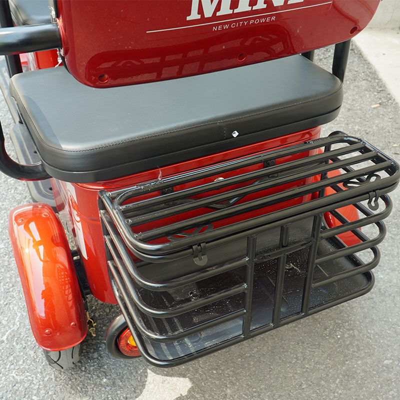 800w 1000w 48v 60v 20ah Electric Passager Tricycle Tourist Fashion Tricycle Scooter with Lead Acid Battery