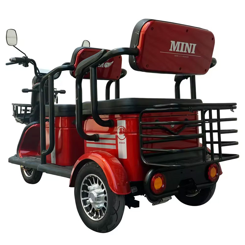 800w 1000w 48v 60v 20ah Electric Passager Tricycle Tourist Fashion Tricycle Scooter with Lead Acid Battery