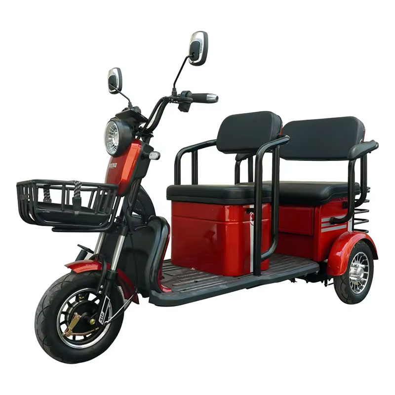 800w 1000w 48v 60v 20ah Electric Passager Tricycle Tourist Fashion Tricycle Scooter with Lead Acid Battery