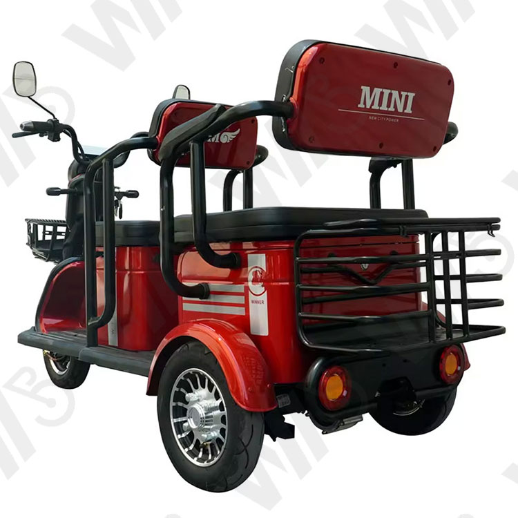 800w 1000w 48v 60v 20ah Electric Passager Tricycle Tourist Fashion Tricycle Scooter with Lead Acid Battery
