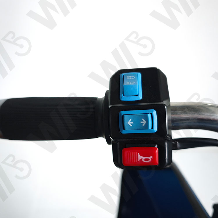 New Style Passenger Electric Tricycle For Adult Long Distance 100KM 800W Power Fat Tire Passenger Electric Tricycle Cargo